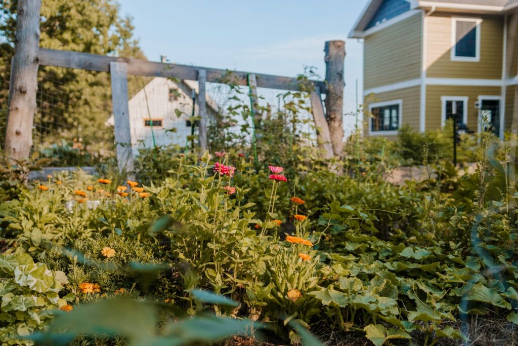 a garden with flowers and a house in the background