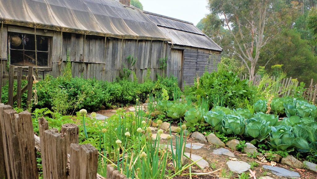 cottage, garden, vegetable patch, 1800's, 1850, agriculture, house, traditional, farm house, vegetable patch, vegetable patch, vegetable patch, vegetable patch, vegetable patch