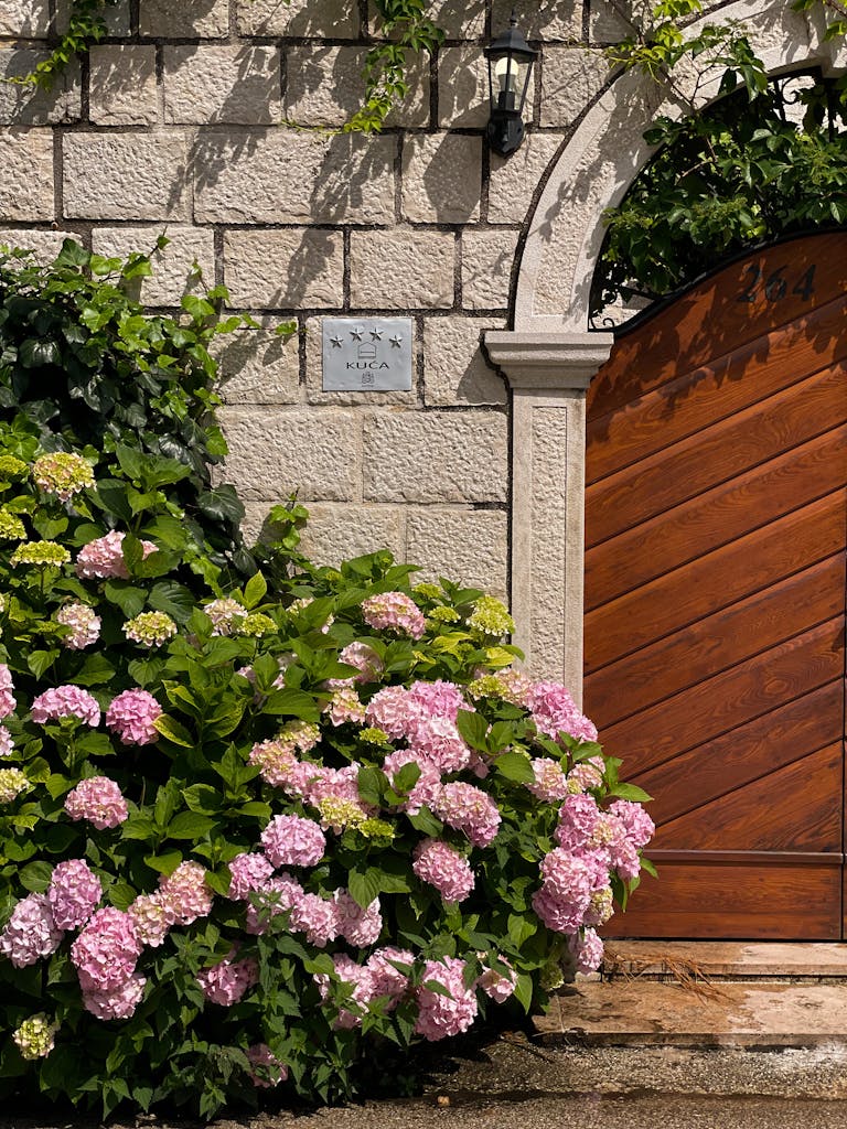 A beautiful stone wall with pink hydrangeas by a rustic wooden gate, perfect for urban gardens.